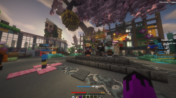 cube craft bedrock server