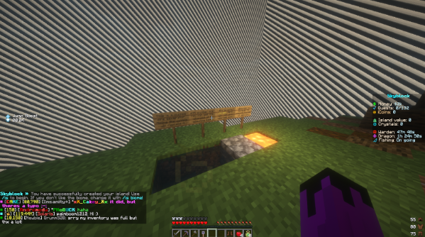 insanity craft server skyblock