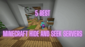 Best Minecraft Hide and Seek Servers