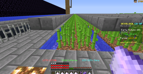 Best Minecraft Tycoon Servers 3