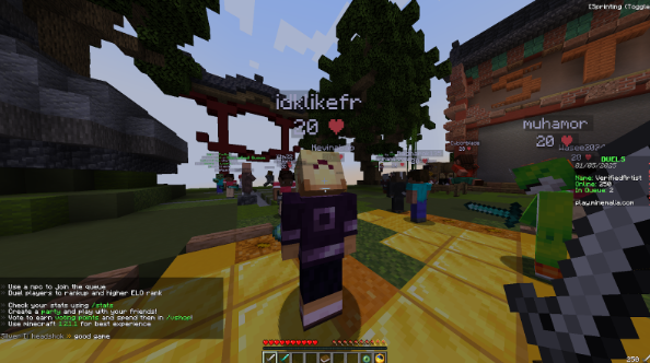 Best Minecraft UHC Servers 5