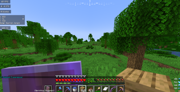 Minecraft Version 1.22 SMP Server 2