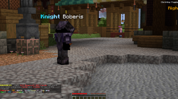 Minecraft Version 1.22 SMP Server 4