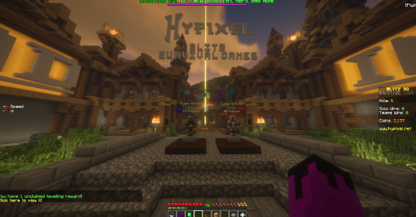 hypixel hunger games server