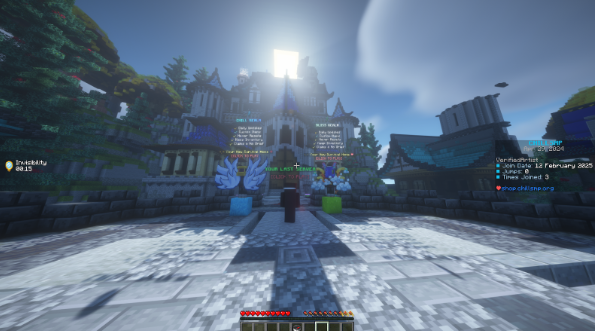 magic themed minecraft server 3