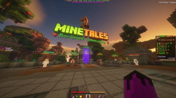 magic themed minecraft server 4